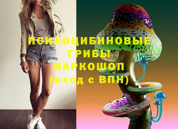 молекула духа Алзамай