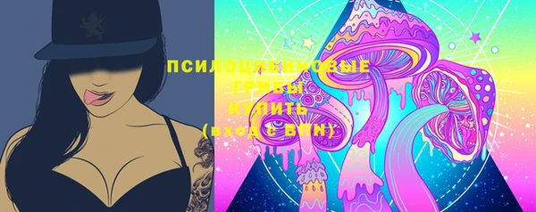 молекула духа Алзамай